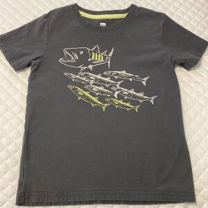 Boys Tea short sleeve gray tshirt